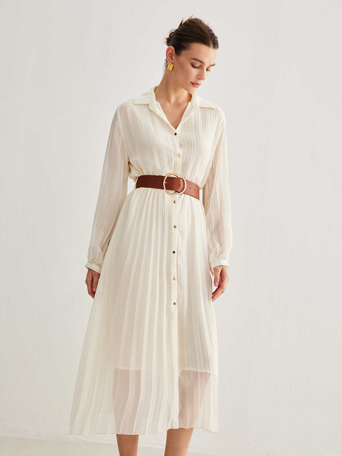 Semi-Sheer Chiffon Button Pleated Dress With Belt