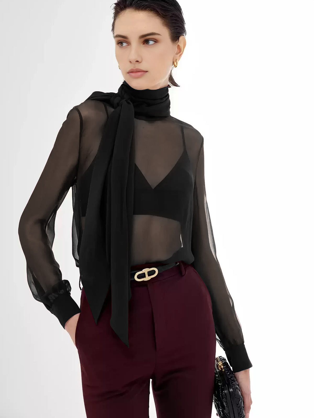 Sheer Bow Chiffon Blouse