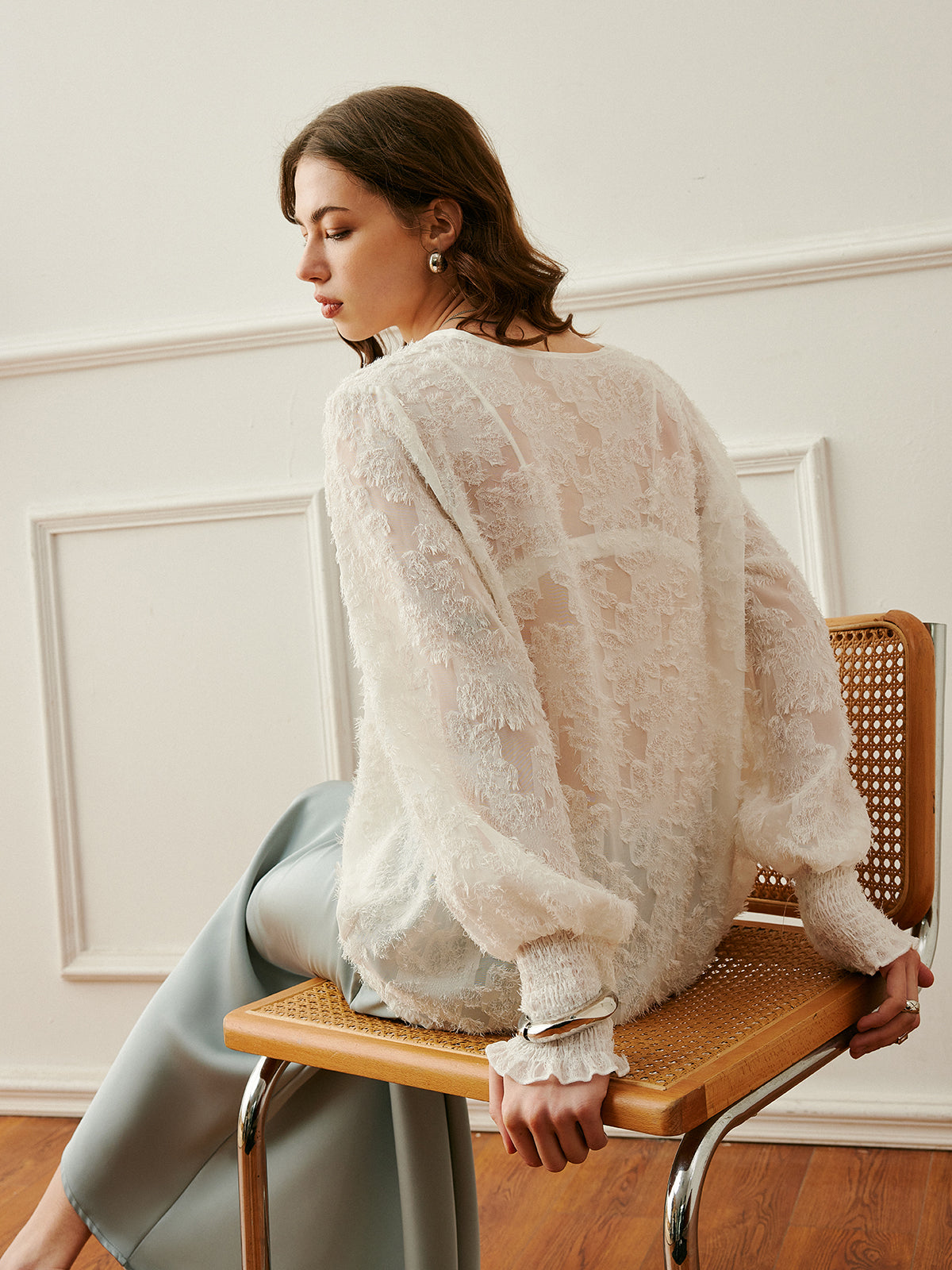 Semi-Sheer V-Neck Lantern Sleeve Embroidered Top