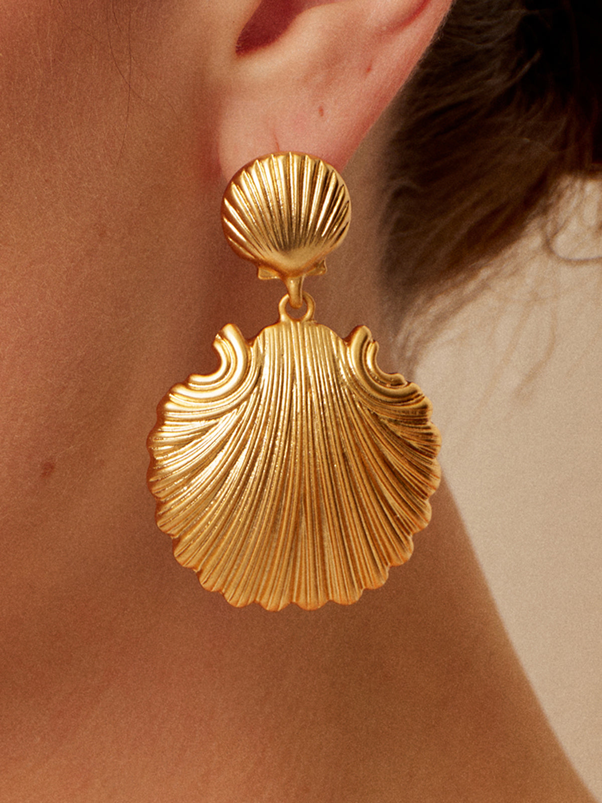 Gold Muschel Ohrringe