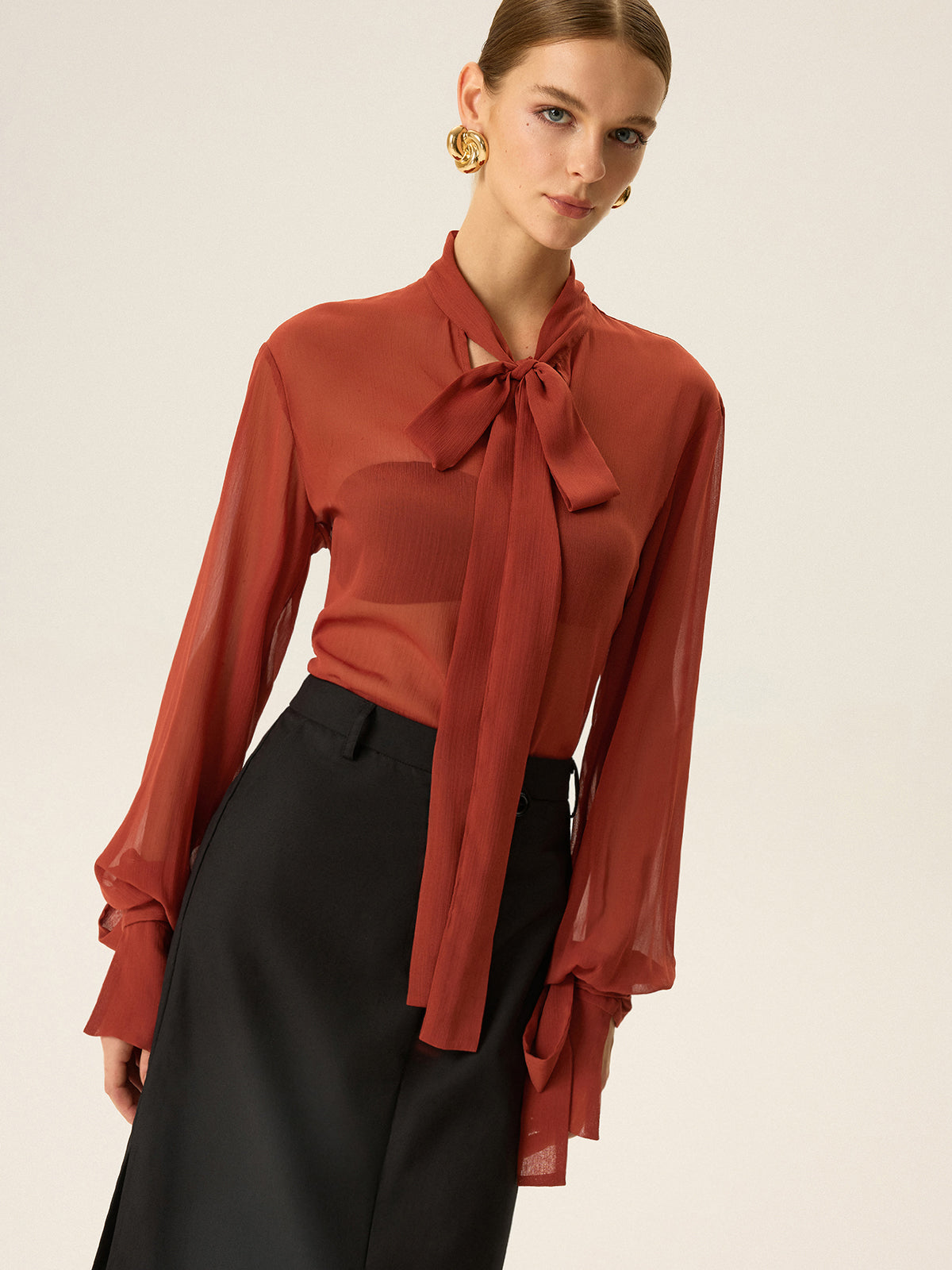 Semi-Sheer Chiffon Tie Neck Blouse