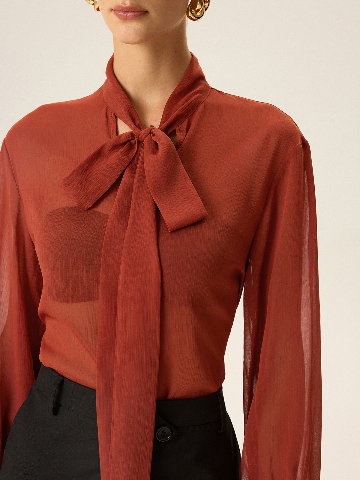 Semi-Sheer Chiffon Tie Neck Blouse