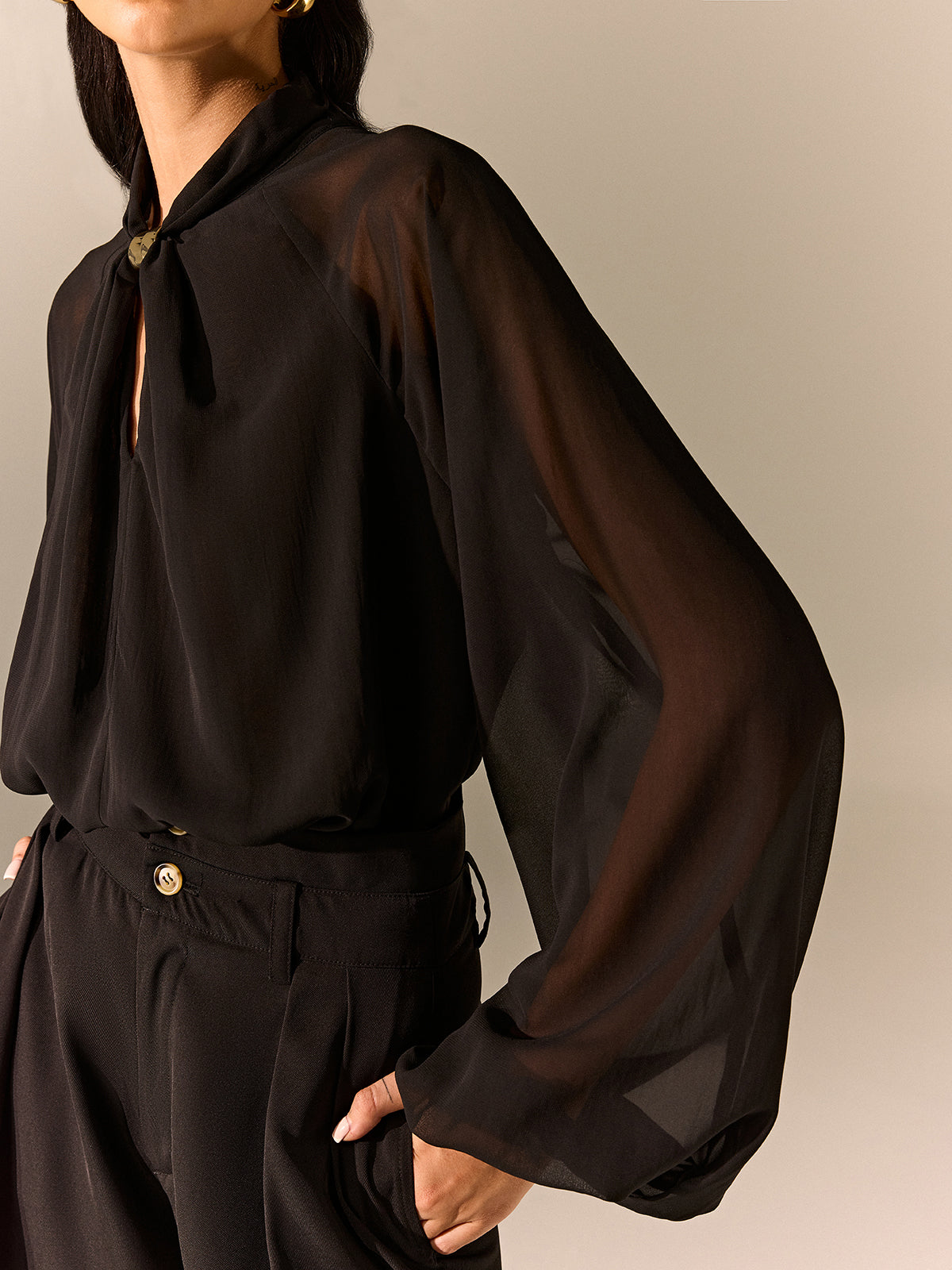 Semi-Sheer Chiffon Blouse with Neckline Metal Detail