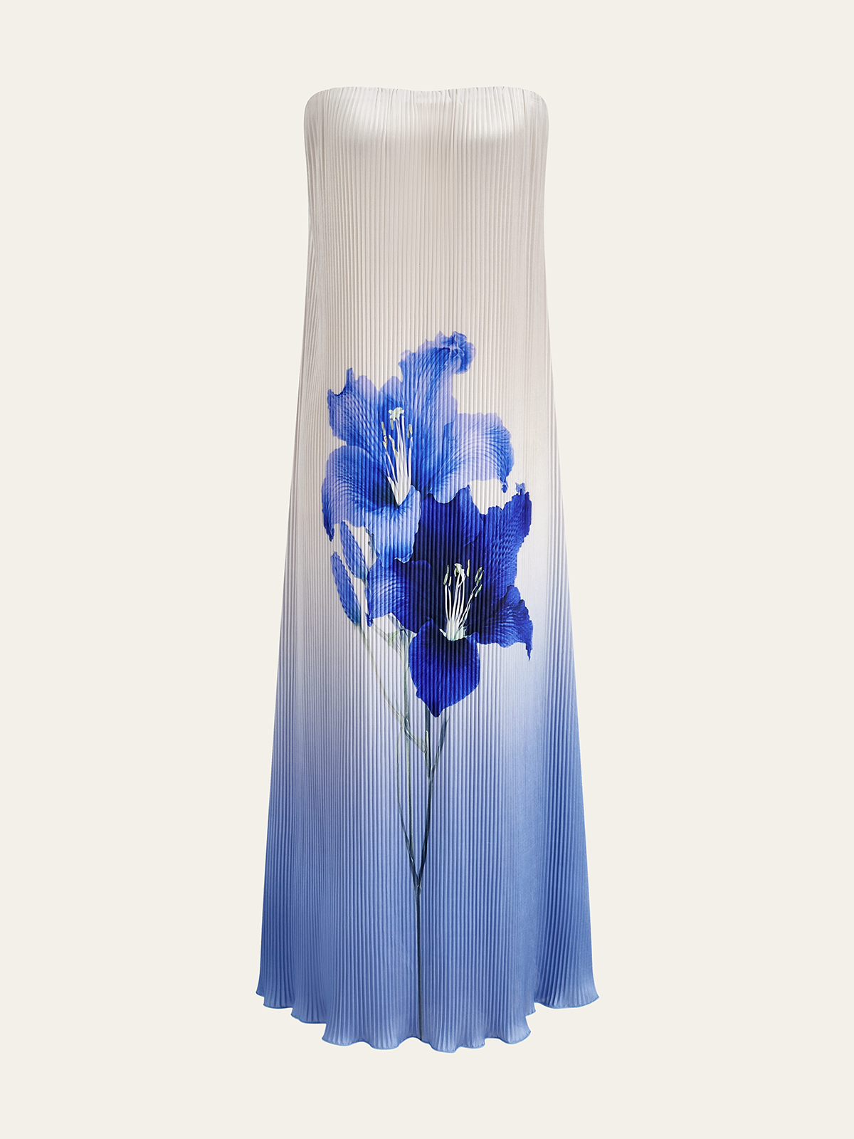 Robe longue plissée bustier à imprimé floral dégradé