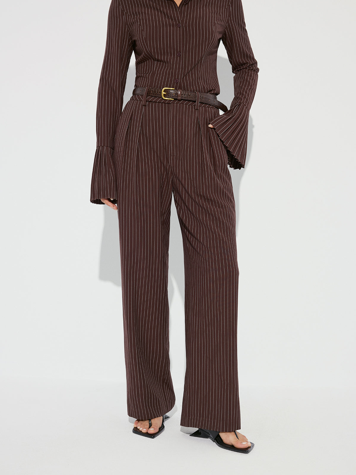Striped Pleated Wide-Leg Pants without Belt