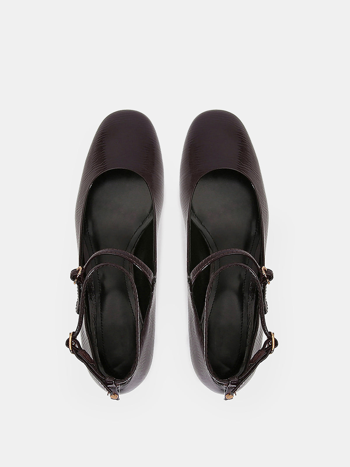 Mary Jane Block Heel Shoes