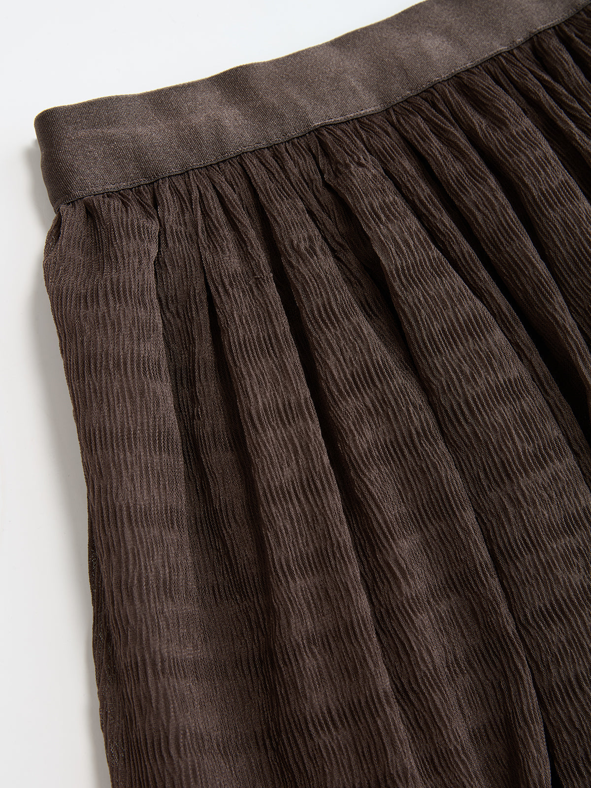 Pleated Mesh Maxi Skirt