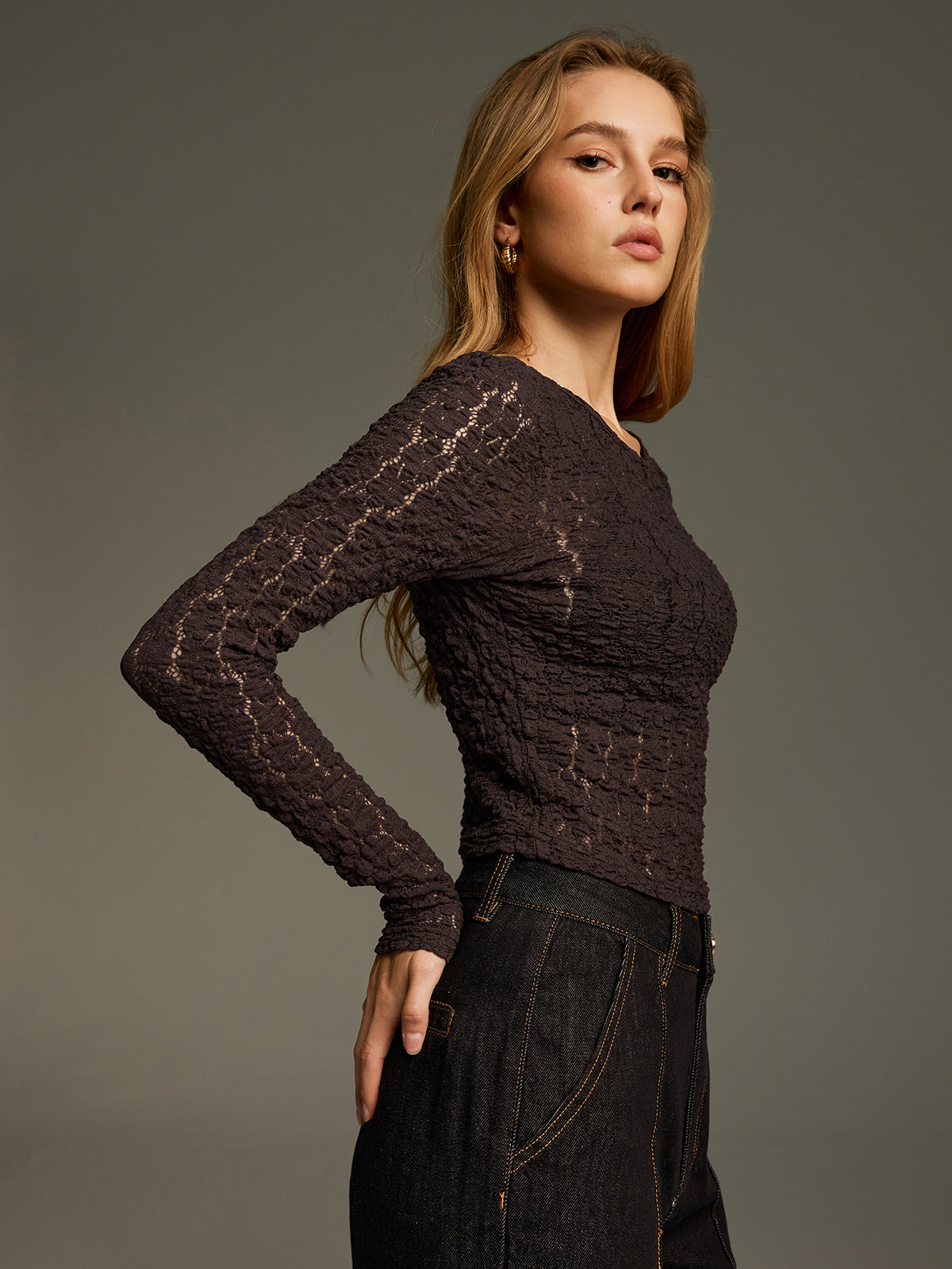 Sheer Lace Long-Sleeve Fitted Top