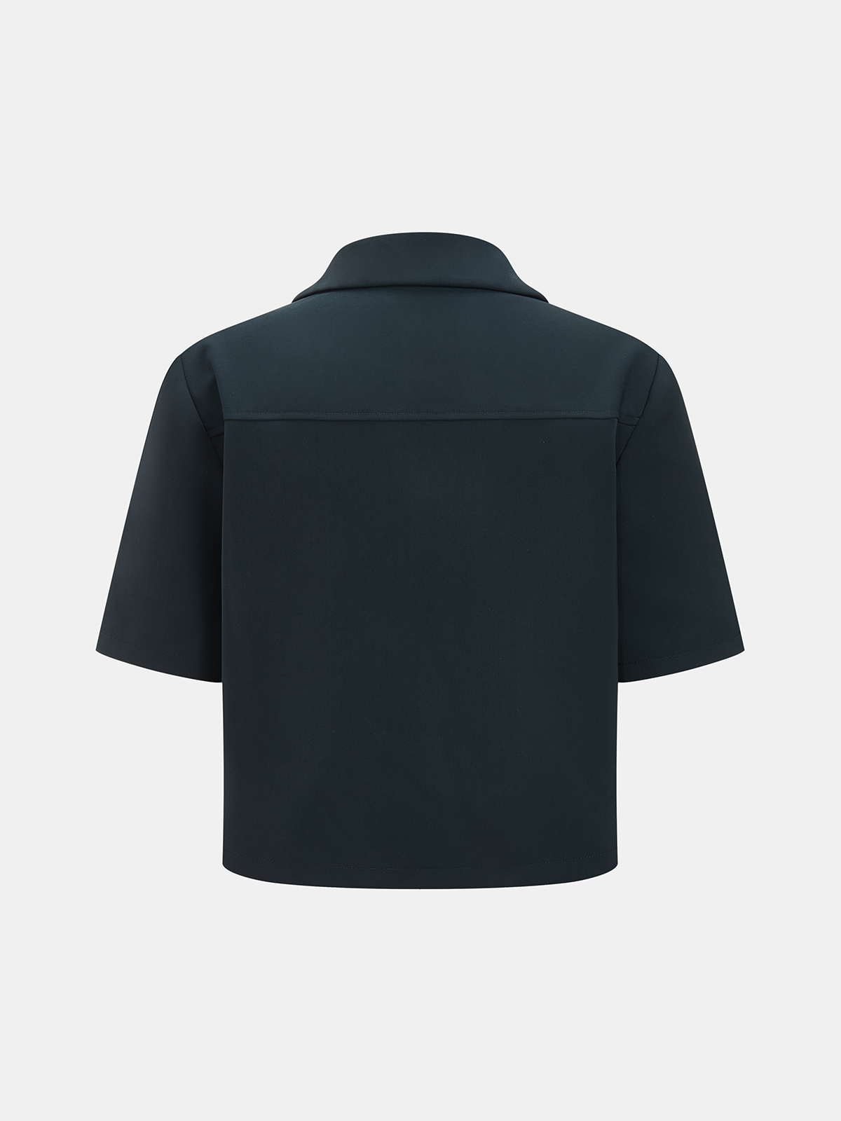 Short Sleeve Crop Top & Pleated Mini Skirt Set