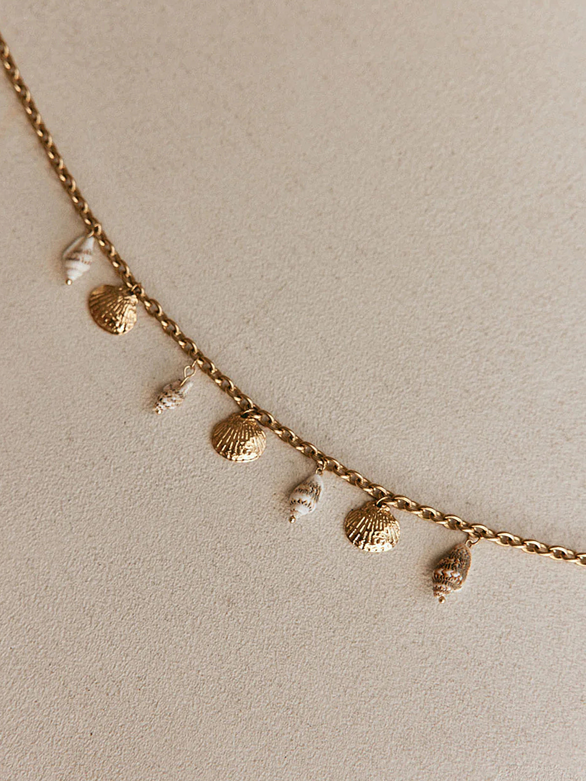 Seashell Charm Pendant Necklace