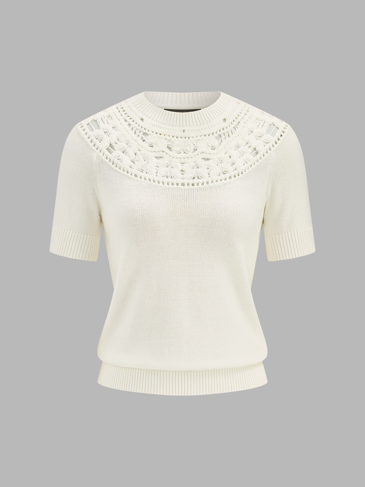 Hollow Out Crochet Short Sleeve Knit Top