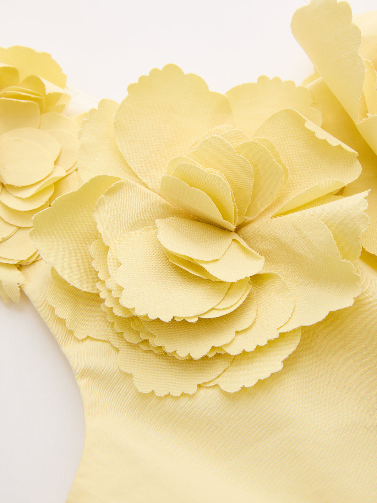 3D Floral Crop Top & Pleated Midi Skirt Set