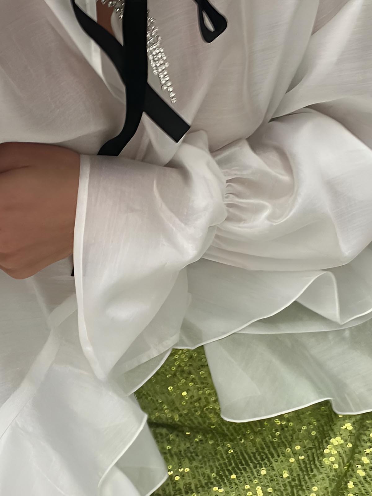 Semi-Sheer Tie-Neck Ruffle Shirt