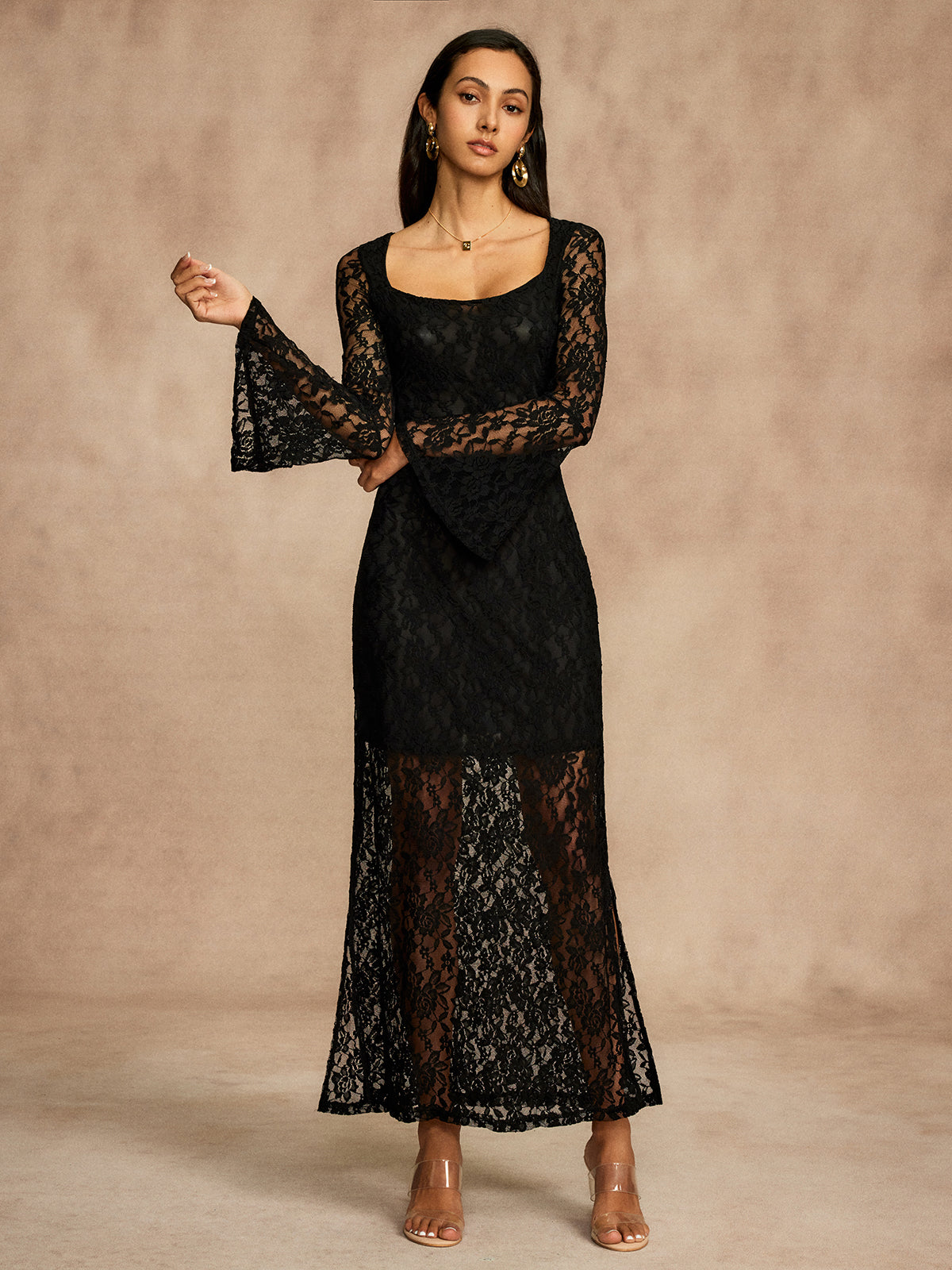 Semi-Sheer Lace Bell Sleeve Lined Dress