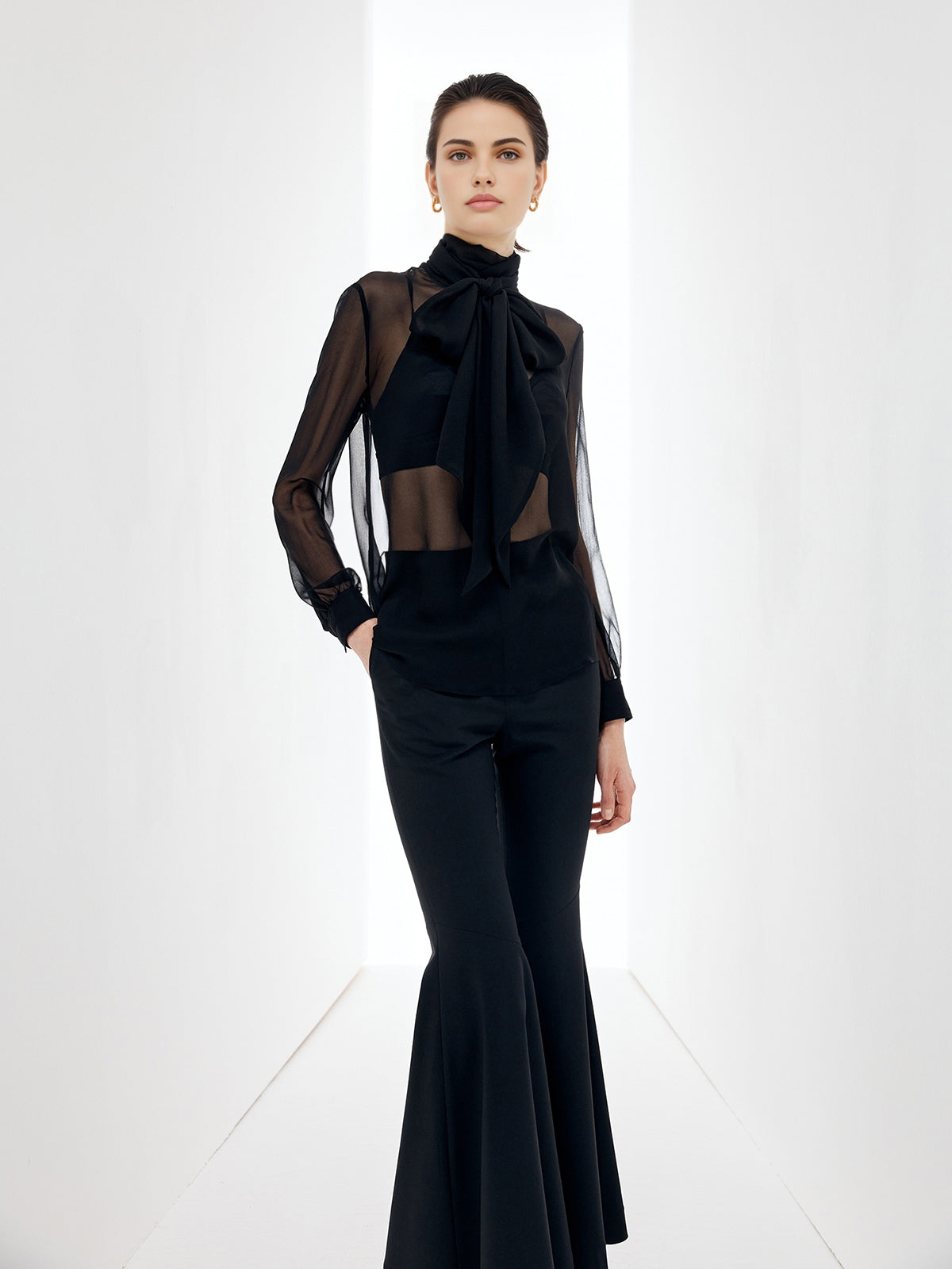 Sheer Bow Chiffon Blouse