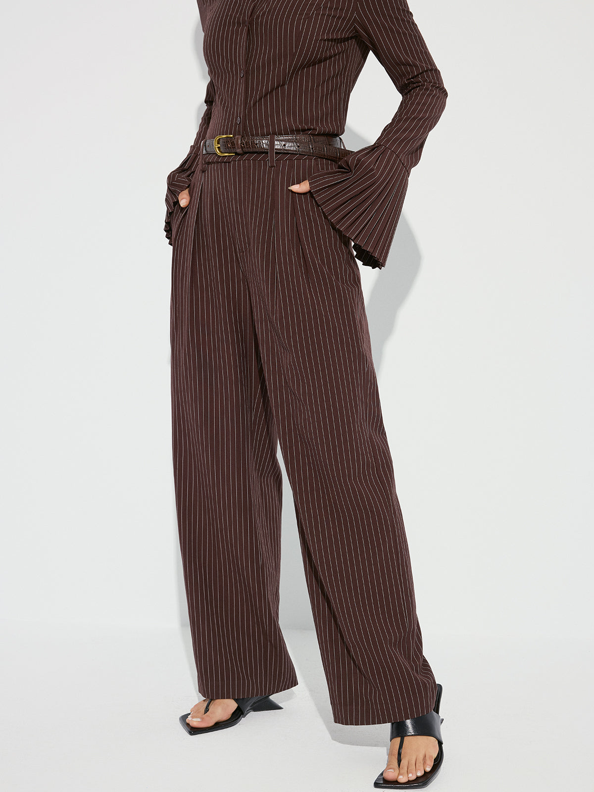 Striped Pleated Wide-Leg Pants without Belt