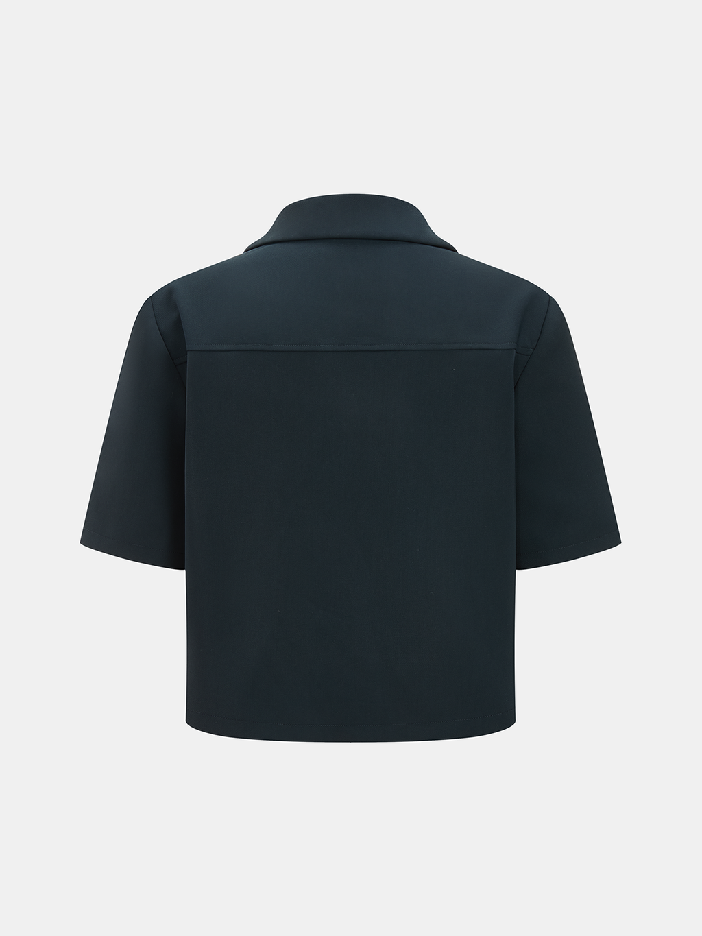 Short Sleeve Crop Top & Pleated Mini Skirt Set