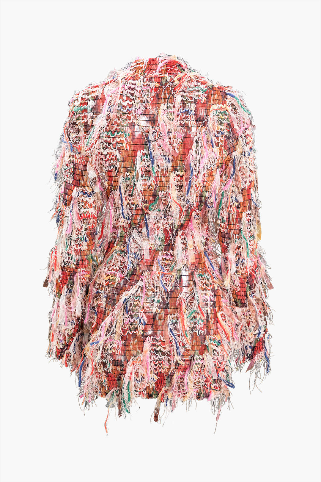 Fringe Long Sleeve Mesh Mini Dress
